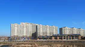 益达枫露